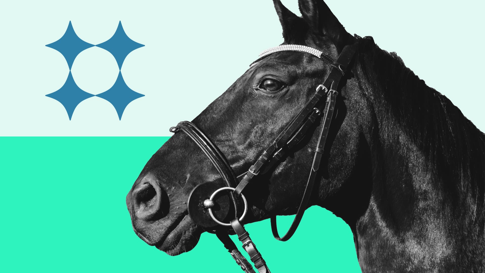 Featured Image for How Does Handicap Work In Horse Racing?