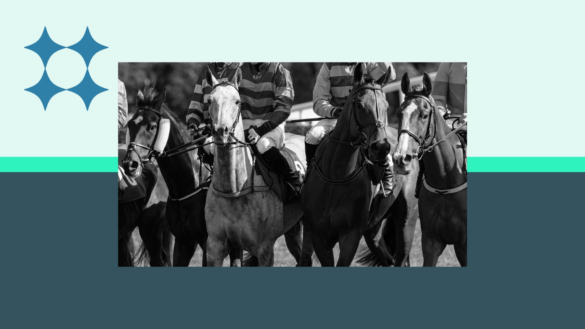 Featured Image for What Does A NAP Mean In Horse Racing?